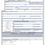 28 Fillable Passport Renewal Form In 2020 With Images Passport