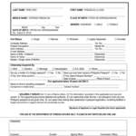 Dfa Online Passport Renewal Application Form Printable Form 2021