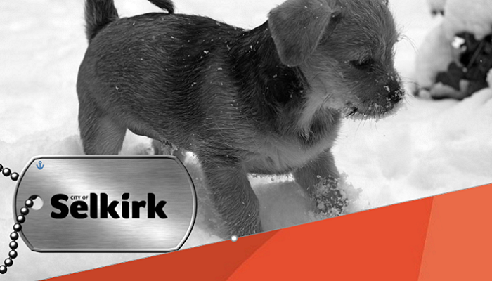 Dog License Renewal Due January 31st City Of Selkirk