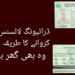 Driving License Renewal Form And Guide For Pakistan renewal Of Driving