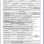 Ethiopian Passport Renewal Application Form In Usa Form Resume