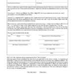 Fillable Form T 200 Affidavit Of Non Receipt Of An Original License