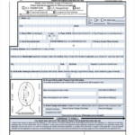 FREE 9 Sample Passport Renewal Forms In PDF MS Word