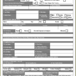 Guyana Consulate Passport Renewal Form Form Resume Examples yKVBbkwMVM