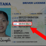 How To Renew A Montana Drivers License DMV