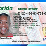 I Lost My Drivers License Il How To Renew Fl Drivers License