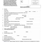 Passport Application Fill Out And Sign Printable PDF Template SignNow