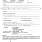 Renew Wisconsin Drivers License Fill Out And Sign Printable PDF