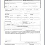 South African Passport Renewal Form Bi 529 PrintableForm