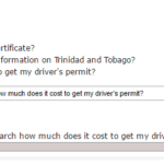 Trinidad And Tobago Drivers Permit Renewal Engconsultancy